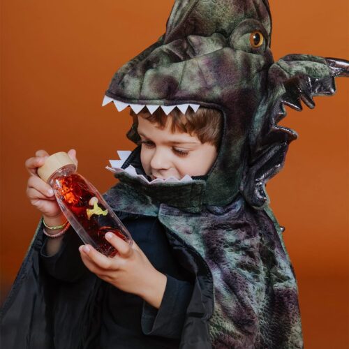 petit boum sensorische fles dino