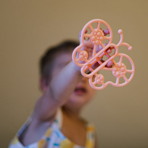 Little L bijtring vlinder