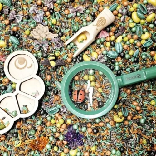 PourAndPlay BackyardBugs