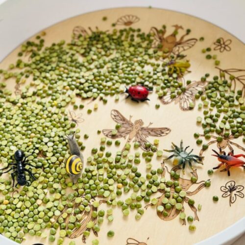 Kiddi PlayPlate Insecten