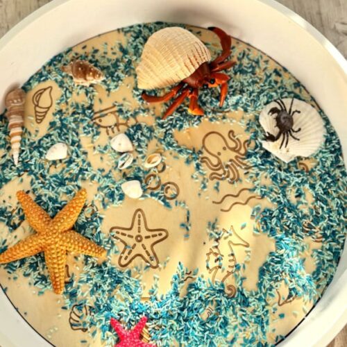 Kiddi PlayPlate Oceaan