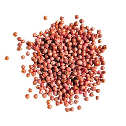 SensoryFun Kikkererwtenmix - Oranje