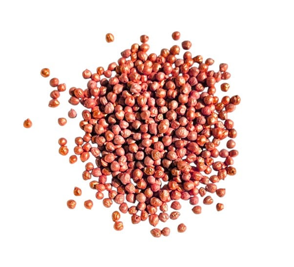 SensoryFun Kikkererwtenmix - Oranje