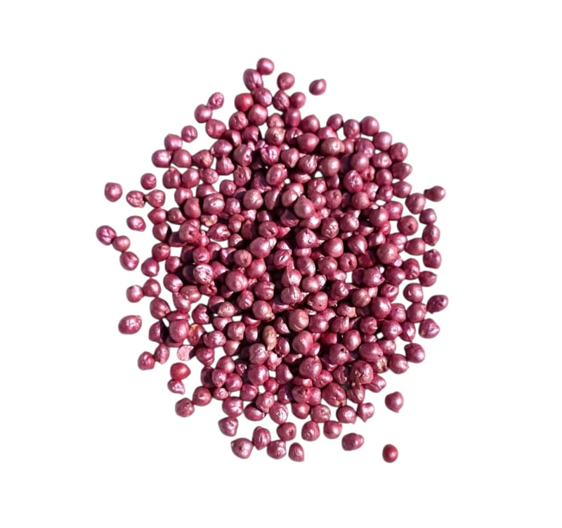 SensoryFun Kikkererwten - Roze