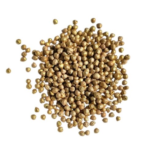 SensoryFun Kikkererwten - Goud