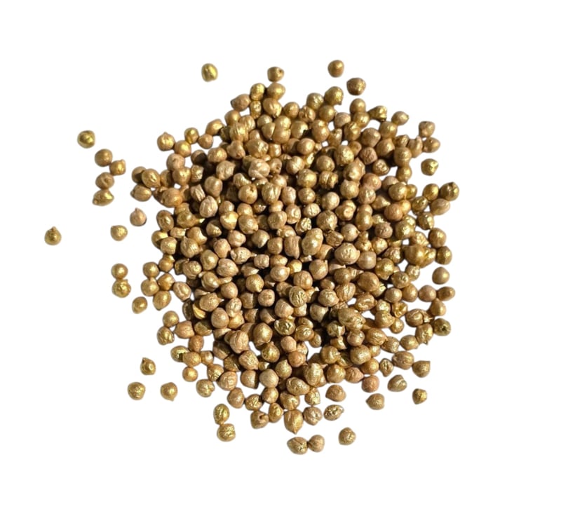 SensoryFun Kikkererwten - Goud