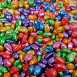 Alternative view of Regenboog Speelmaïs - 850 gram