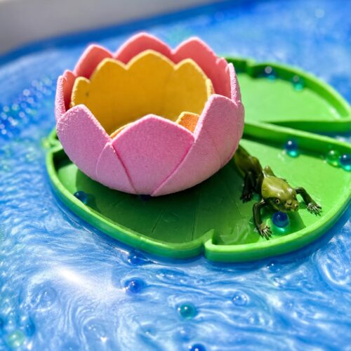 Sensus Lotus 1