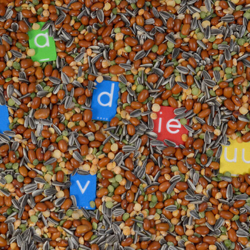 Alternative view of X Creator Kleine Leesletters set