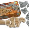 Yellow Door Dig Discover – Triceratops Spinosaurus
