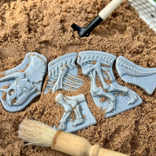 Yellow Door Dig Discover – Triceratops Spinosaurus in sensorische speelbak