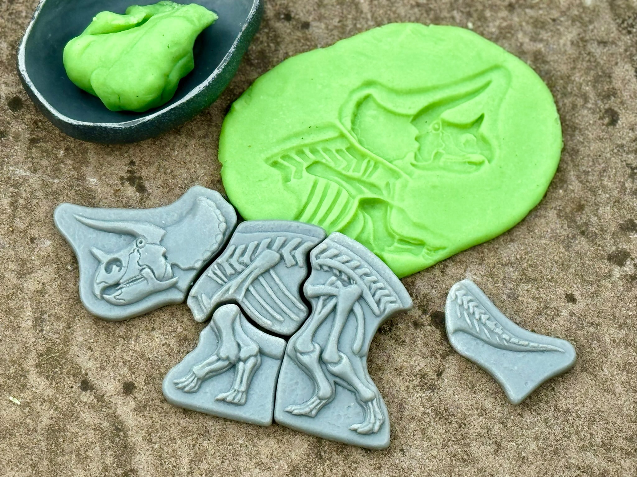 Yellow Door Dig & Discover – Triceratops & Spinosaurus - Afbeelding 5