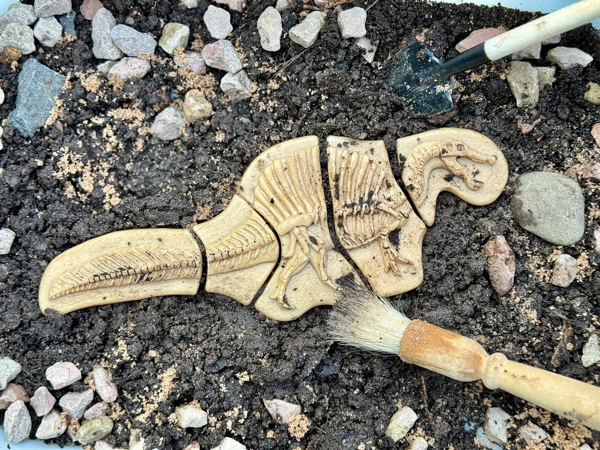 Yellow Door Dig & Discover – Triceratops & Spinosaurus - Afbeelding 2