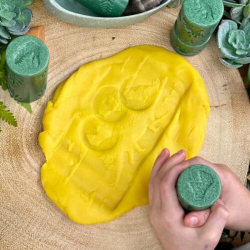 Yellow Door Sensorische Rollers Dinosaurus 3