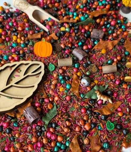 SensoryFun PourAndPlay Herfst - Afbeelding 3