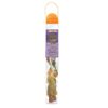 Safari Ltd Fossielen Toob