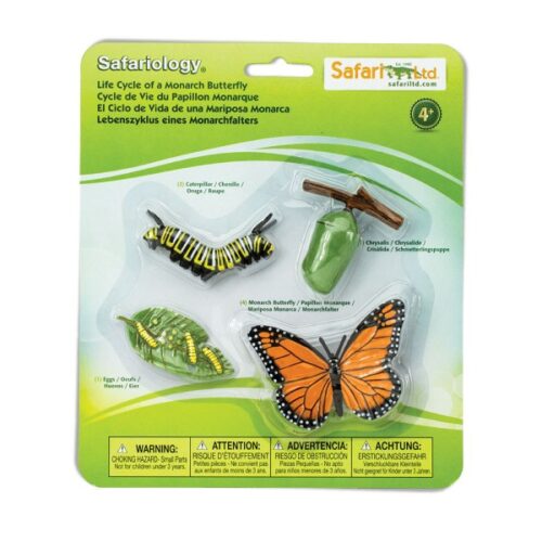Safari Ltd Levenscyclus van een vlinder
