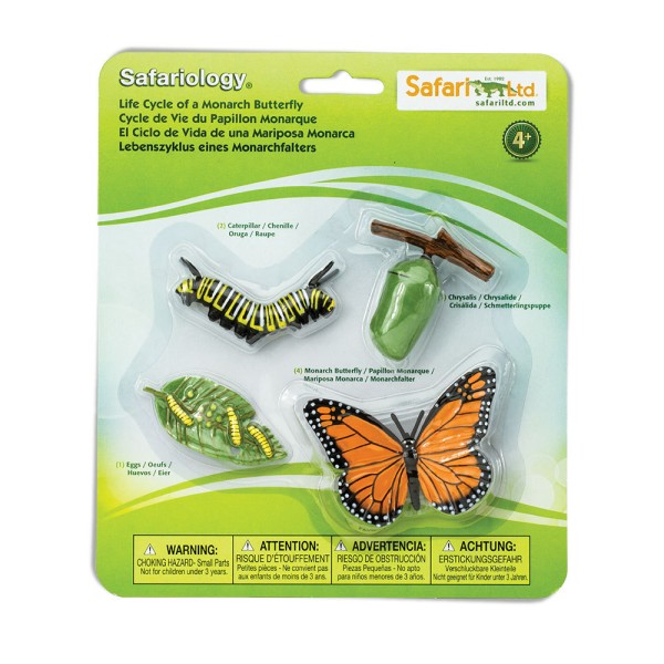 Safari Ltd Levenscyclus van een vlinder