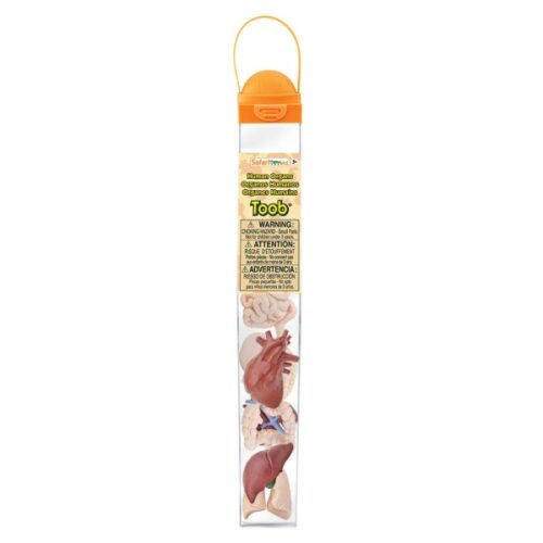 Safari Ltd Organen Toob