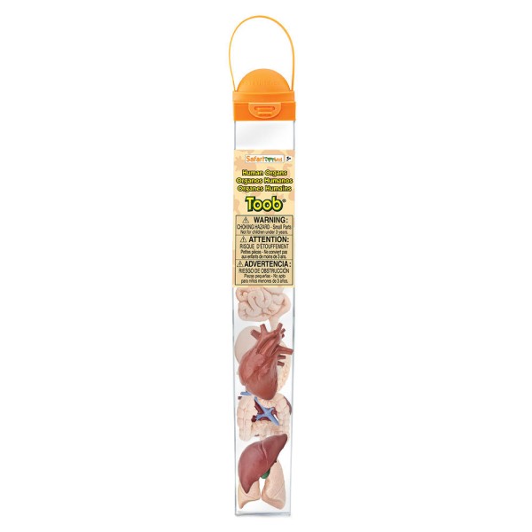 Safari Ltd Organen Toob