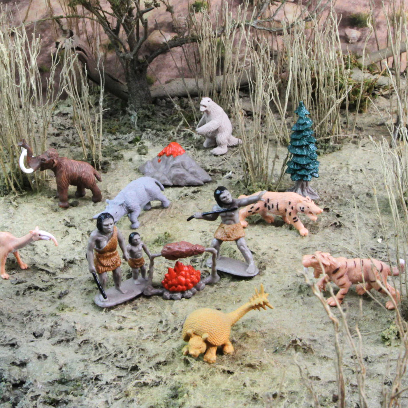 Safari Ltd Prehistorisch Leven Toob - Afbeelding 4