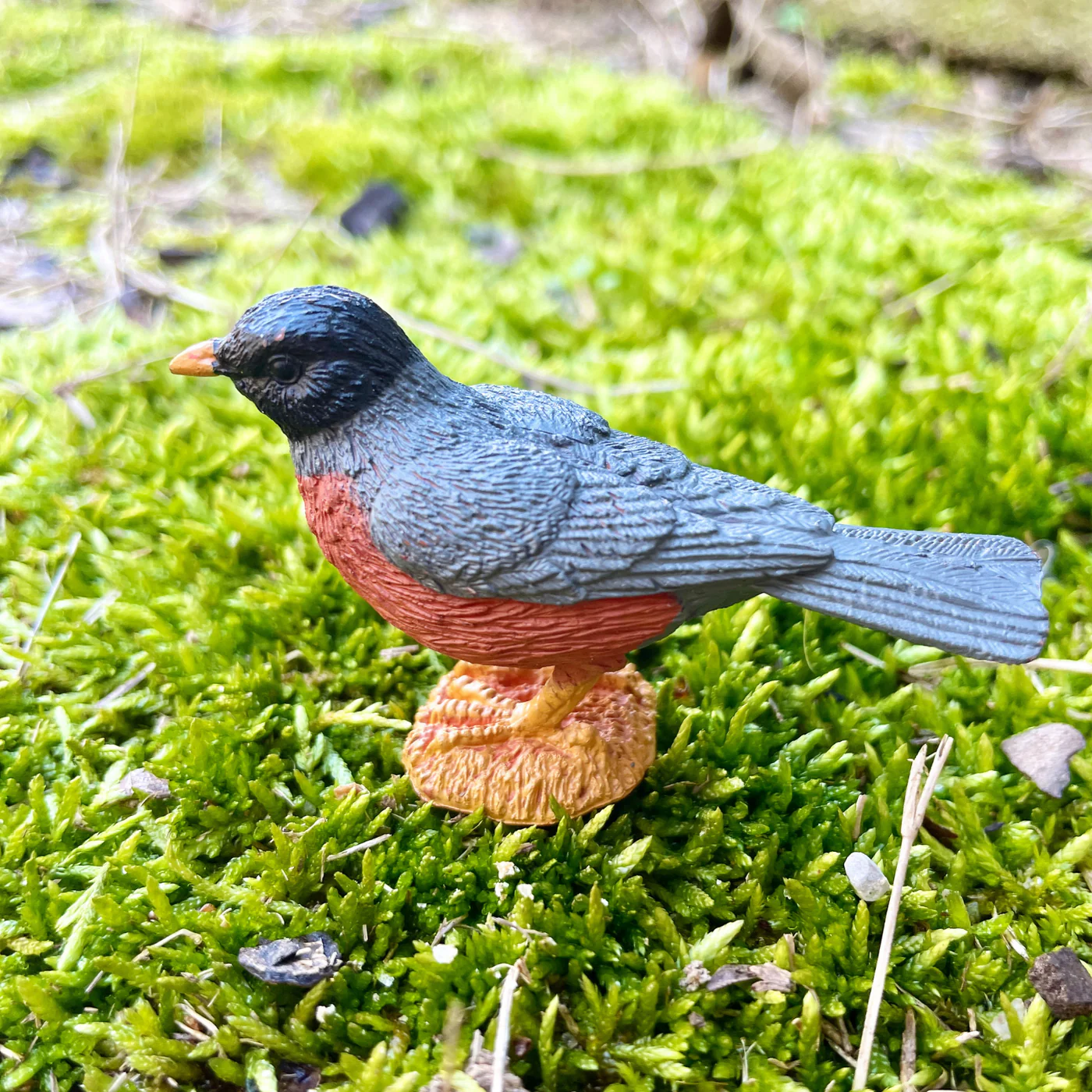 Safari Ltd Vogels Toob - Afbeelding 4