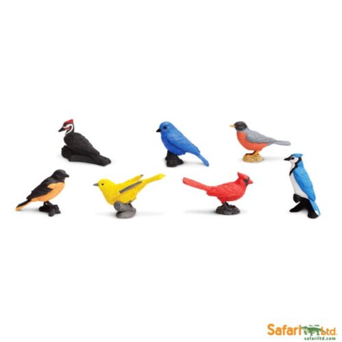 Safari Ltd Vogels Toob 2